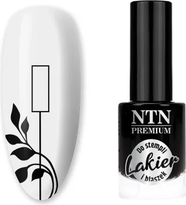 Obrázek produktu pro NTN Lak na razítka a desky Premium černý 7 ml č. 99