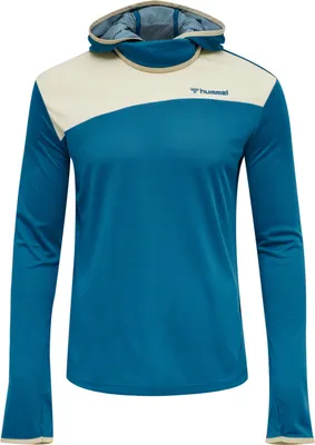 Produktbild von hummel hmlARIUS Hoodie blue sapphire L