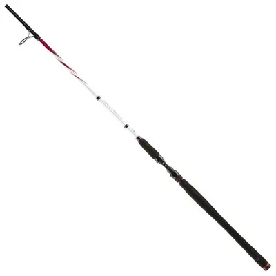 Zdjęcie produktu dla Penn Squadron II 242 SW 75–150 g 2,40 m