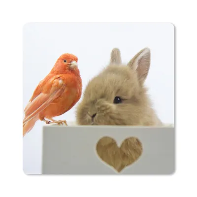 Produktbild von MuchoWow® Mauspad Mousepad Tiere - Kaninchen - Vogel 20x20 cm - Mousepads - Maus Mat - Pad - Mausunterlage - Desk Mat - Bureauartikeln