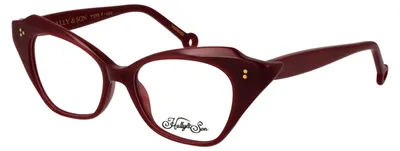 Image de HALLY & SON EYEWEAR Montures de lunettes HS836V02 5002