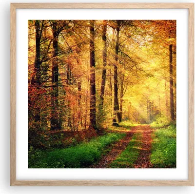 Produktbild von Gerahmtes Poster - Rahmen in heller Eiche - Wald Baum Natur - 50x50 cm - Wand Bild - Wanddeko - Wandbilder - Kunstposter - Wandposter - Bilderrahmen - Bilder - Kunstdruck - Wandbild - P2NAC50x50-3718