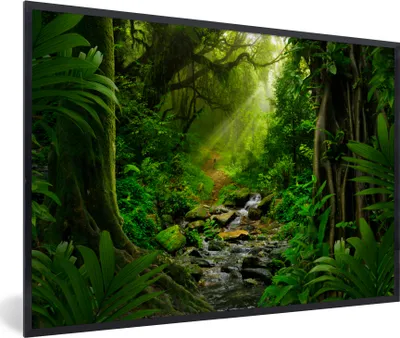 Produktbild von MuchoWow® Gerahmtes Poster Dschungel - Wasser - Laub - Sonne - Natur 30x20 cm - Poster mit Schwarzem Bilderrahmen Wandposter Rahmen Foto Bilder - Kunstdruck - Bild-Poster