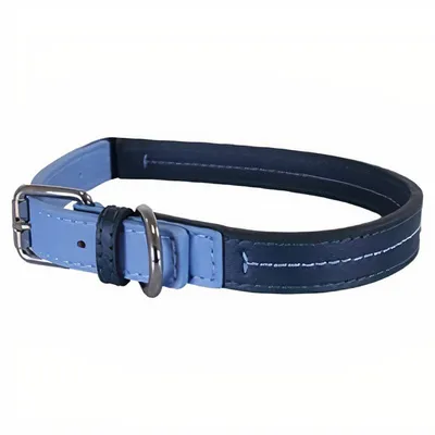 Produktbild von kragen 35,5-45,5 cm Leder blau/grau