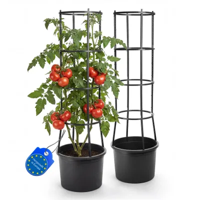 Produktbild von 2 Stück Tomatentopf mit Rankhilfe XL