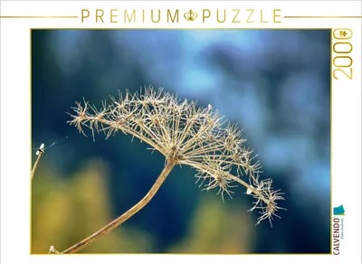 Produktbild von CALVENDO Puzzle Ausgeblüht 2000 Teile Puzzle quer | 2000 Teile Lege-Größe 90x67cm Foto-Puzzle für glückliche Stunden