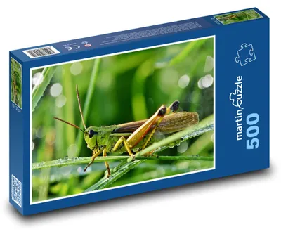 Obrázek produktu pro Puzzle 500 Saranče na zelené louce - martinpuzzle