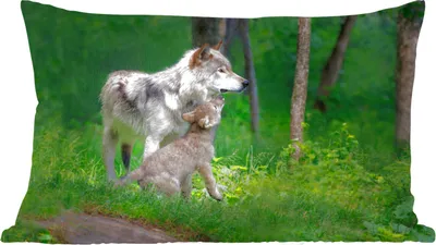 Produktbild von MuchoWow® Zierkissen Sofakissen Wohnzimmer Dekokissen 50x30 cm Wolf - Baby - Wald - Wohnzimmerdekoration - Polster mit Photo