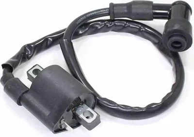 Immagine prodotto di Bobina Di Accensione Am6 50 Cc Yamaha Tzr Rs Dt50 Rieju