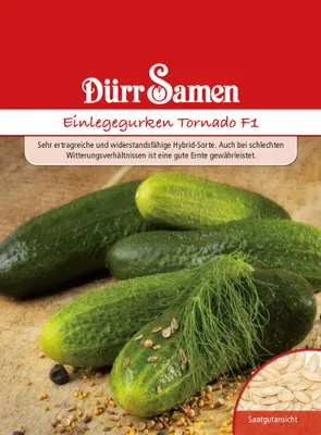 Produktbild von Dürr-Samen - Einlegegurken Tornado F1 - Saatgut - 1813