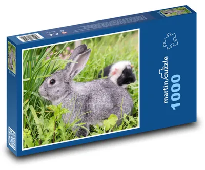 Obrázek produktu pro Puzzle 1000 Králík a morče v trávě - martinpuzzle