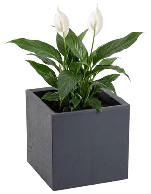 Produktbild von HowHomely | Pflanzentopf - Blumenkübel - Blumentopf - grau - 30x30x30 cm - auf Rädern - Dekorativ
