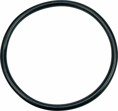 Produktbild von Dichtung Sieb / Pumpentopf 172mmØ AEG 899646121770/6 Geschirrspüler Juno Zanussi Zoppas Progress Quelle REX Zanker Matura