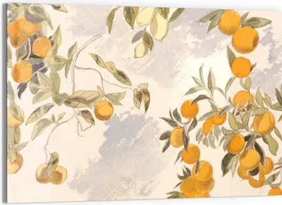Produktbild von DEQORI Glasbild Echtglas 90x60 cm 'Orangenpracht' Wandbild Bild modern Deko