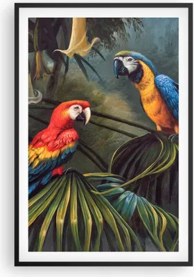 Produktbild von Gerahmtes Poster - Schwarzer Rahmen - Ara Papageien Palmen - 61x91,5 cm - Wand Bild - Wanddeko - Wandbilder - Kunstposter - Wandposter - Bilderrahmen - Bilder - Kunstdruck - P2BPA61x91-4780
