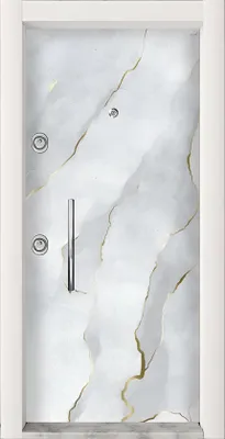 Produktbild von Graue Robuste Eigangstür Designer Türen Schloßtüren Edle Haustüren