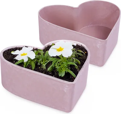 Immagine prodotto di Fioriere a cuore per esterni Ciotole decorative rosa-rosso 2x 22 cm
