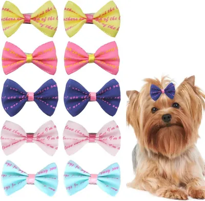 Image de Lot de 10 nœuds pour chien