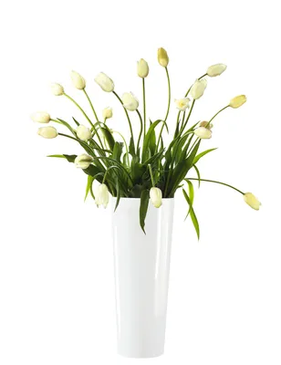 Produktbild von ASA Vase mono weiß 45 cm