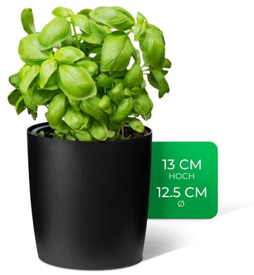 Produktbild von Novaliv Stilvolle Kräutertopf aus Kunststoff Schwarz für jede Fensterbank, Für frische Küchenkräuter, Kräutergarten für die küche, Kräuterbeet indoor, Zimmerpflanzen, Pflanzentopf, Pflanzschale