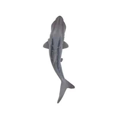 Produktbild von Toymany ML00262 Riesenhai 7,2 cm Wasserwelt
