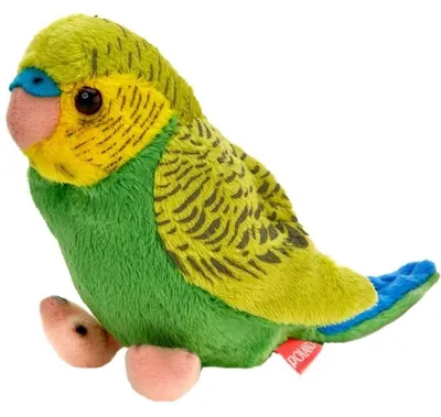 Image de BEPPE Perruche ondulée 13 cm vert-bleu 13847