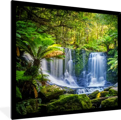 Produktbild von MuchoWow® Gerahmtes Poster Dschungel - Wasserfall - Australien - Pflanzen - Natur 40x40 cm - Poster mit Schwarzem Bilderrahmen Wandposter Rahmen Foto Bilder - Mit Rahmen - Wanddekoration Schlafzimmer
