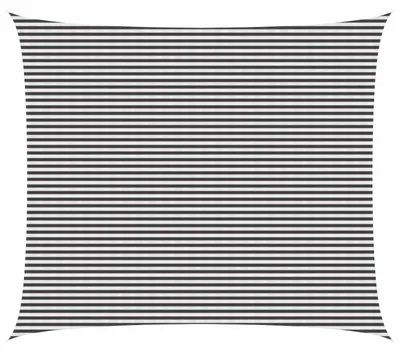 Produktbild von vidaXL Sonnensegel Anthrazit und Weiß 6 x 7 m HDPE