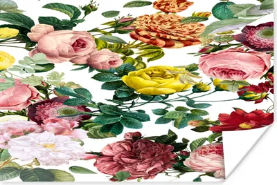 Produktbild von MuchoWow® Poster Blumen - Strauch - Weiß 180x120 cm - Fotoplakat