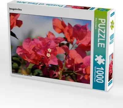Produktbild von CALVENDO Puzzle bougainvillea | 1000 Teile Lege-Größe 64x48cm Foto-Puzzle für glückliche Stunden