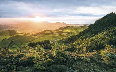 Produktbild von Sanders & Sanders Fototapete bewaldete Landschaft Grün und Blau 400 x 250 cm