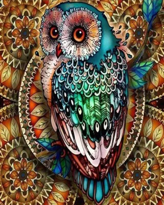 Produktbild von Malen nach Zahlen 5d Diamond Painting Eule Funkelnd Malen nach Zahlen 30x40cm
