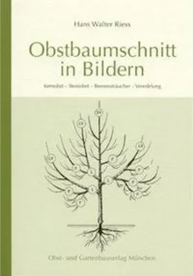 Obrázek produktu pro Obstbaumschnitt in Bildern