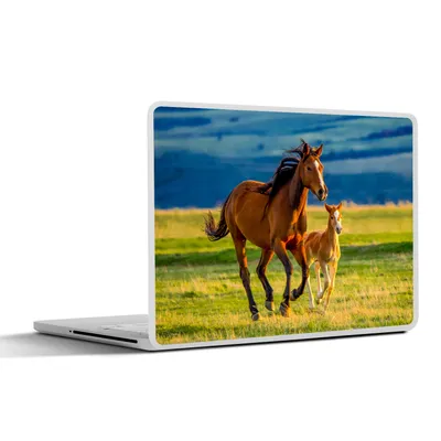Produktbild von MuchoWow® Laptop Aufkleber Sticker Cover Pferde - Gras - Tiere - Landschaft - Natur 25x18 cm - Laptop-Deko