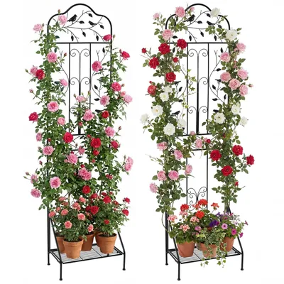 Image de COSTWAY Ensemble de 2 treillis métalliques, 3 en 1 clôture décorative de jardin, étagère à fleurs&support de plantes, support de plantes grimpantes indépendant, treillis jardin noir