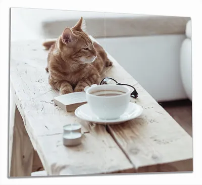 Produktbild von Wallario Herdabdeckplatte aus Glas, Größe 60 x 52 cm 2-teilig, Motiv Süße rot getigerte Katze beim Kaffee