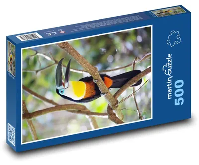 Obrázok produktu pre Puzzle 500 Tukan v tropickom lese - martinpuzzle