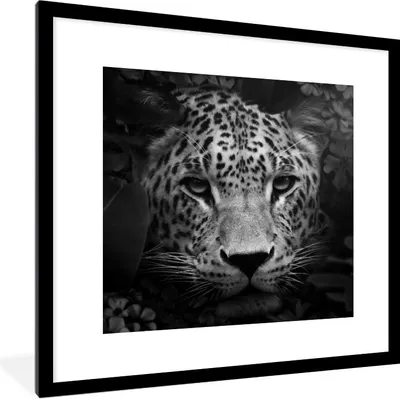 Produktbild von MuchoWow® Gerahmtes Poster Tiere - Panther - Dschungel - Schwarz - Weiß 40x40 cm - Poster mit Schwarzem Bilderrahmen Wandposter Rahmen Foto Bilder - Poster - Plakat im Rahmen