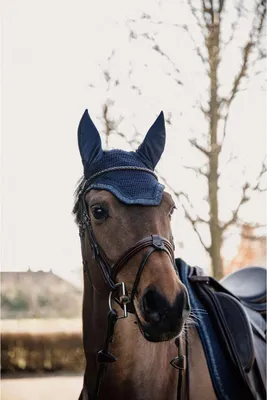 Image de Kentucky Horsewear Wellington Glitter Stone Soundless Fliegenohren, Taille:Sang chaud, Couleur:navy