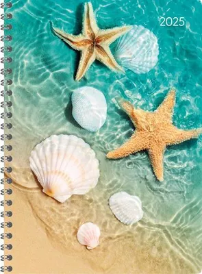 Immagine prodotto di Ladytimer Raccoglitore ad anelli Beach 2025 - Calendario tascabile A5 (15x21 cm) - Calendario per studenti - Settimanale - Rilegatura ad anelli - 128 pagine - Edizione Alpha