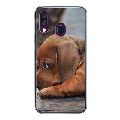 Produktbild von MuchoWow® Handyhülle Schutzhülle Hülle für Samsung Galaxy A40 Dackelwelpe liegt am Rande des Bürgersteigs Silikon Softcase Handy Hülle - Handy-Tasche