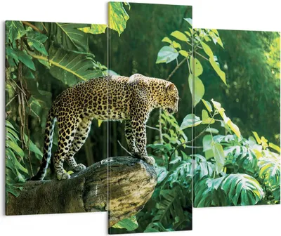 Produktbild von Bild auf Leinwand - Leinwandbild - 3 Teile - Dschungel Leopard Panther - 130x100cm - Wand Bild - Wanddeko - Wandbilder - Leinwanddruck - Bilder - Wanddekoration - Leinwand bilder - CB130x100-4502
