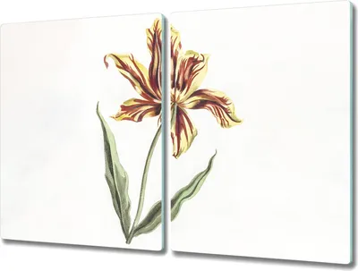 Produktbild von Coloray Küchenbrett Kochplattenabdeckung Hackbrett Schneidebrett Herdabdeckplatte 2x40x52 cm - Blumen Pflanzen