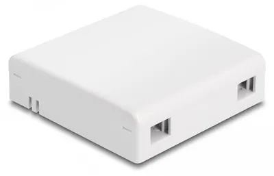 Image de DELOCK Boîtier de raccordement fibre optique pour montage mural pour 2x ou duplex w.