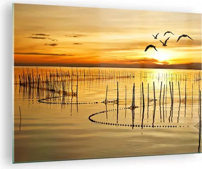 Produktbild von Bilder auf glas - See Vogel Wasser - 70x50cm - Glasbilder - Wandbilder - Kunstdruck - zum Aufhängen bereit - Wanddekoration aus Glas - Glas Bilder - Wandbild auf Glas - Einteilig - GAA70x50-3616