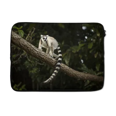 Produktbild von MuchoWow® Laptop Hülle 13 Zoll Affe - Zweig - Tier Laptoptasche - Laptophülle - Sleeve - Rundumschutz