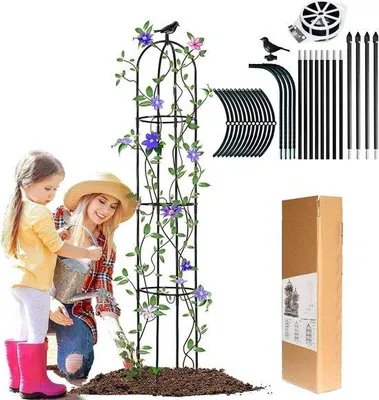 Produktbild von Gartenständer 2022 für Weinreben Blumen Rosen Spalier
