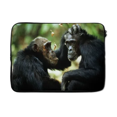 Produktbild von MuchoWow® Laptop Hülle 13 Zoll Zwei Schimpansen Laptoptasche - Laptophülle - Sleeve - Rundumschutz