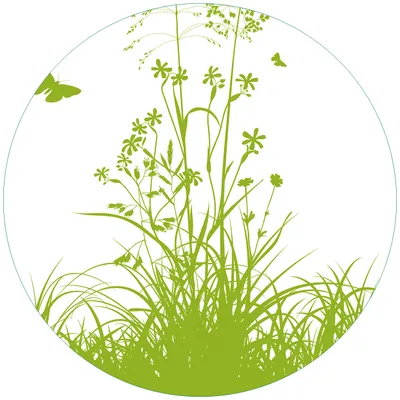 Produktbild von Wallario Premium Glasbild, freischwebende Optik, kräftige Farben, rund 50cm Durchmesser, Motiv Grüne Sommerwiese