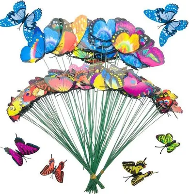 Image de Papillons de jardin colorés, 5 tailles, décoration